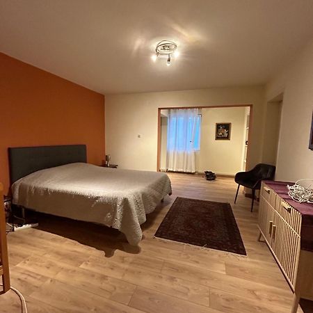 Bel Appartement En Rdc Proche Strasbourg Nice Apartment Very Near ストラスブール エクステリア 写真