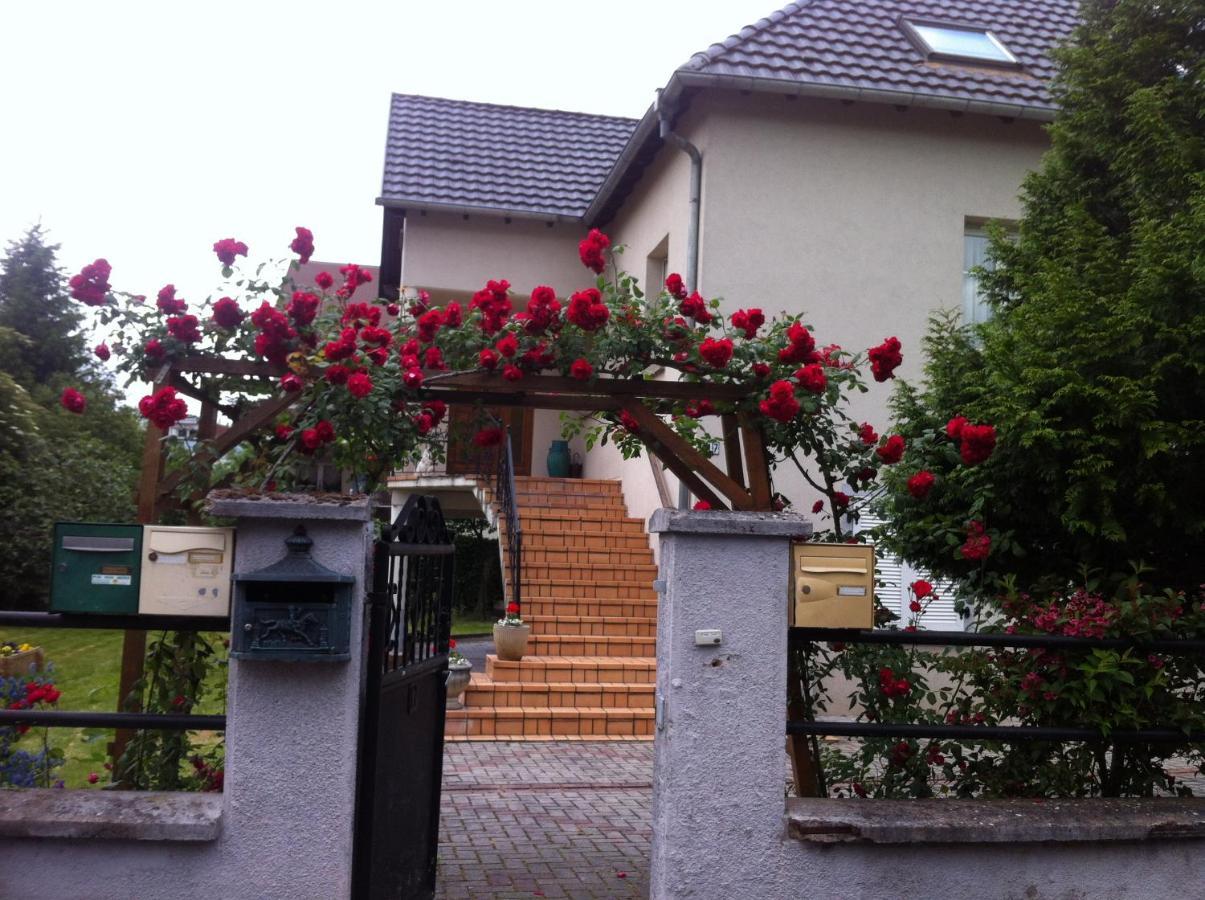 Bel Appartement En Rdc Proche Strasbourg Nice Apartment Very Near ストラスブール エクステリア 写真